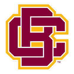 Bethune-Cookman Wildcats Logo