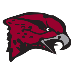 Maryland-Eastern Shore Hawks Logo