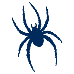 Richmond Spiders Logo